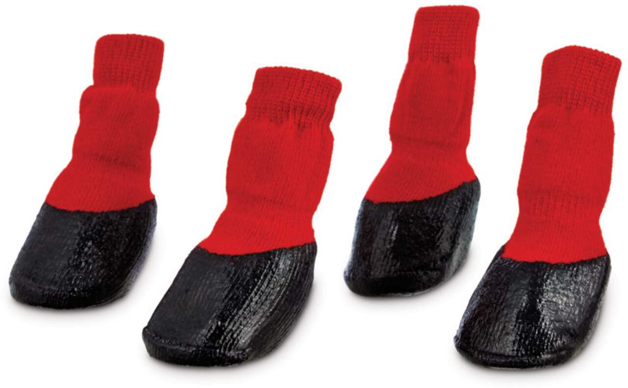Petco Weatherized Dog Socks, Water Resistant with Rubberized Sole, Red,  Large