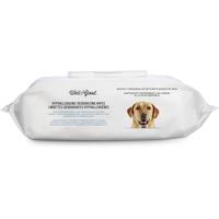 Well & Good Hypoallergenic Deodorizing Wipes, Unscented, 100-ct