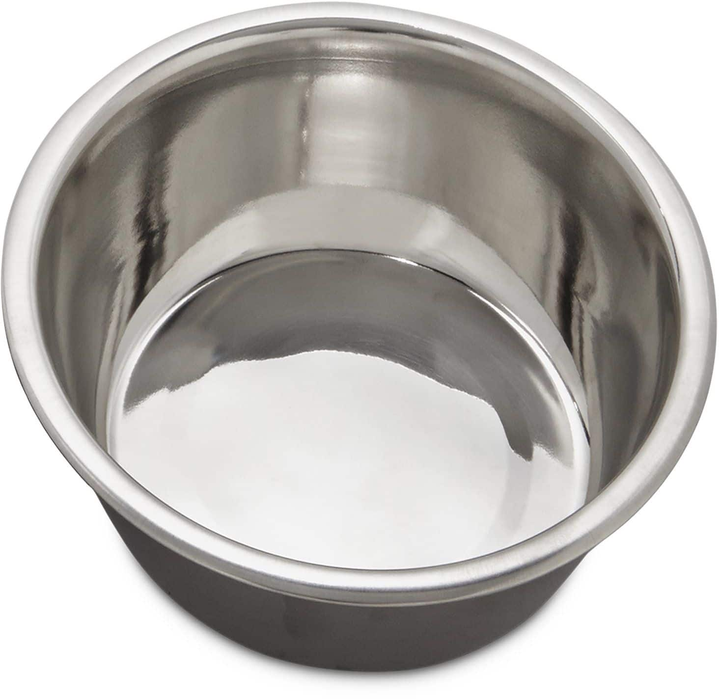 Petco stainless store steel dog bowls