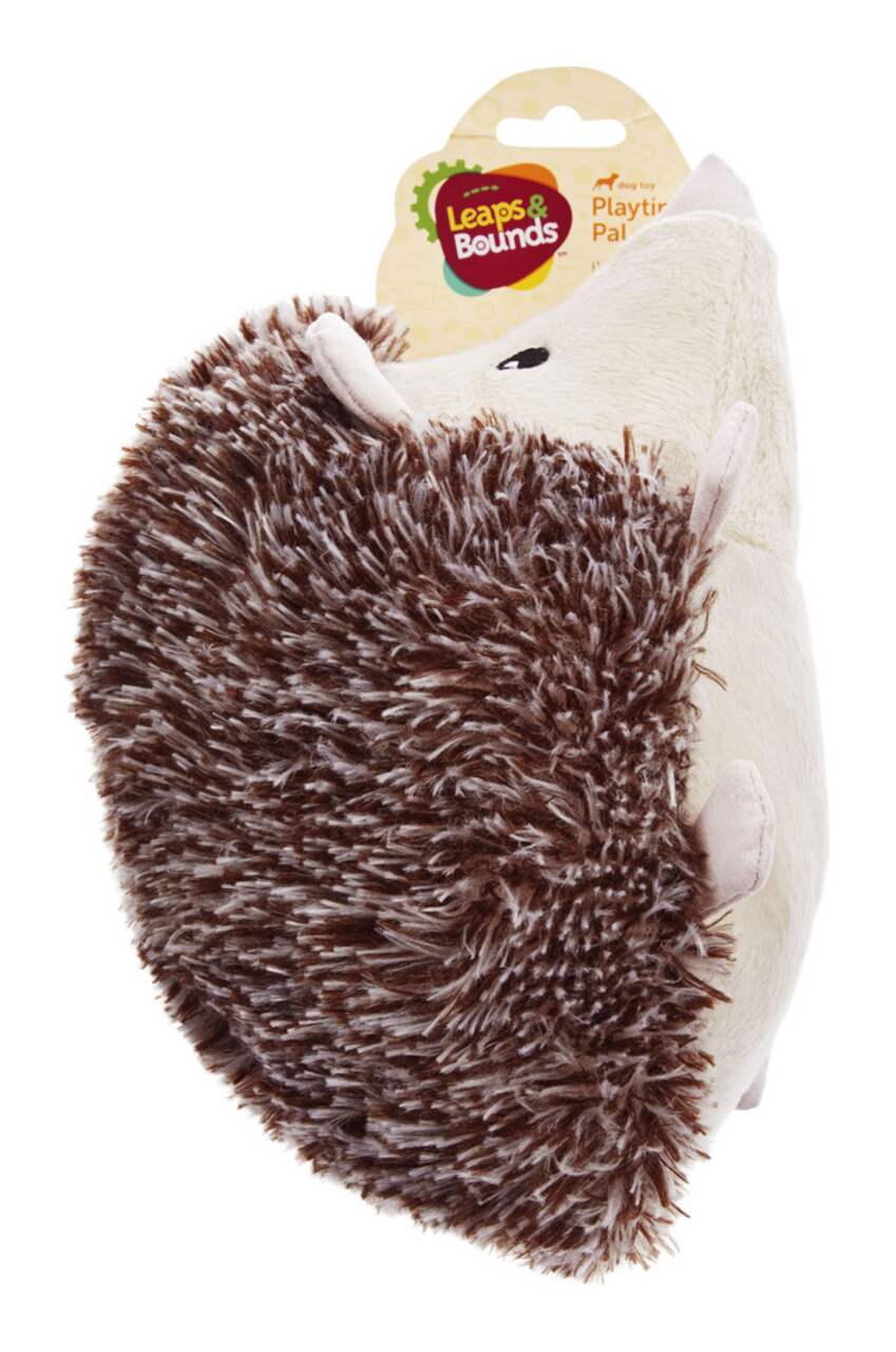 Petco Squeak Plush Hedgehog Dog Toy Medium Canadian Tire