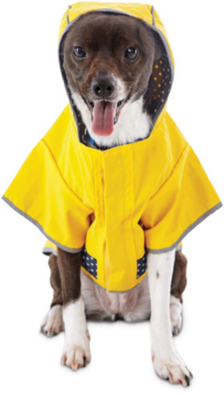 Petco raincoat hotsell