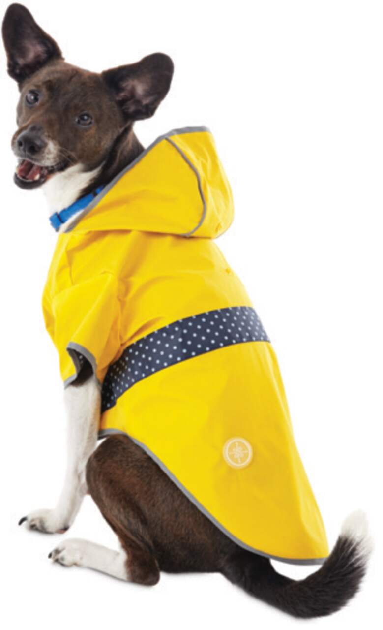 Petco raincoat clearance