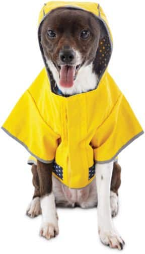 Canadian tire dog life hot sale jacket