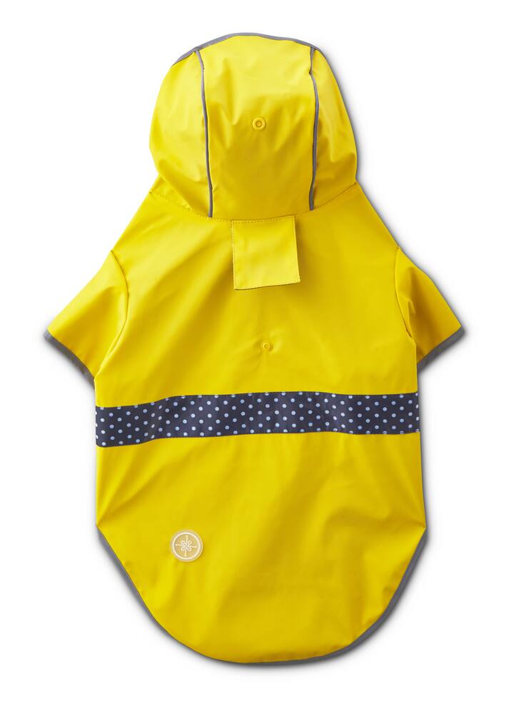 petco rain coat