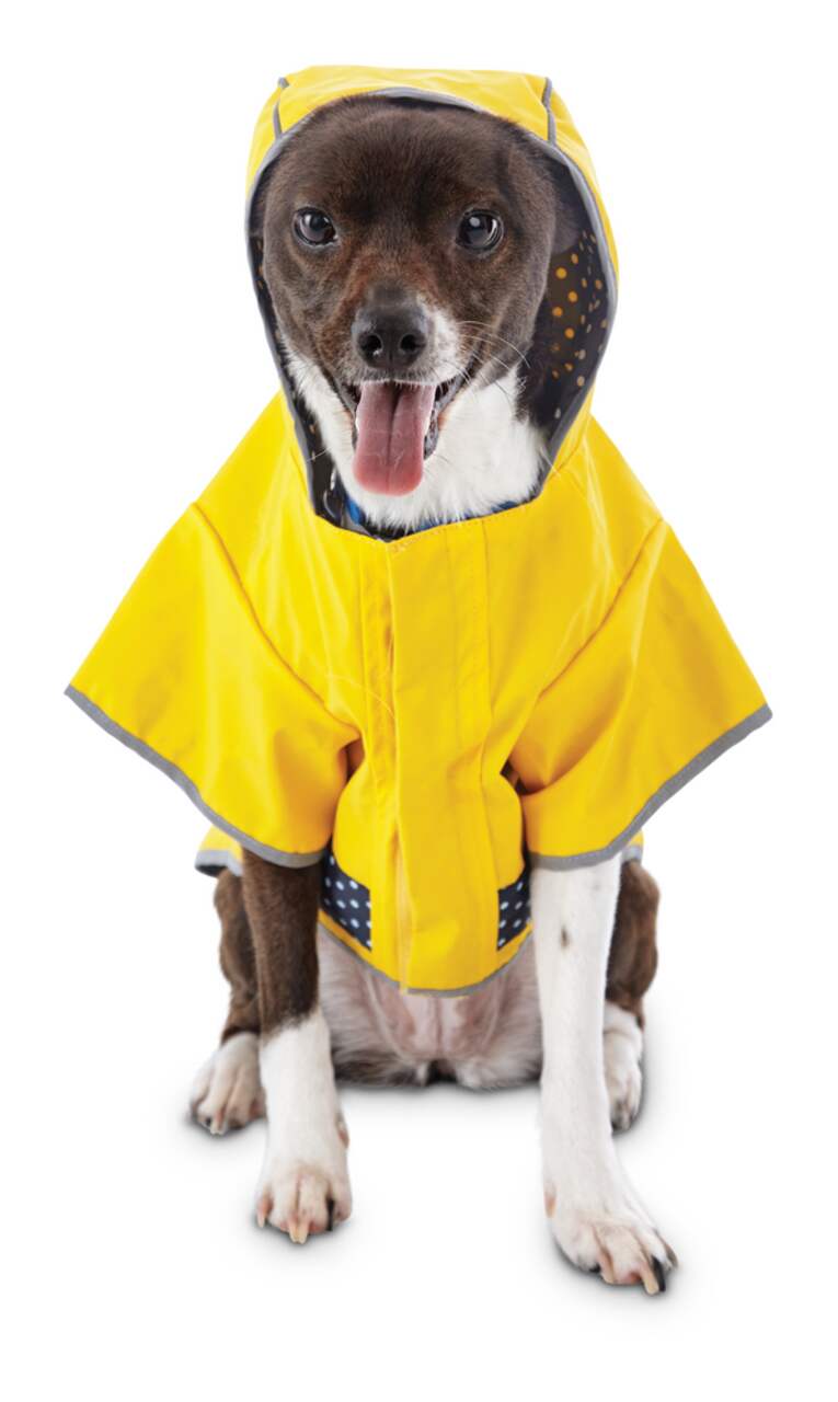 Petco sales dog jacket