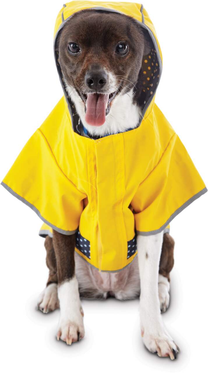 Petco raincoat on sale
