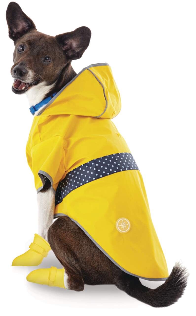 Petco raincoat hotsell