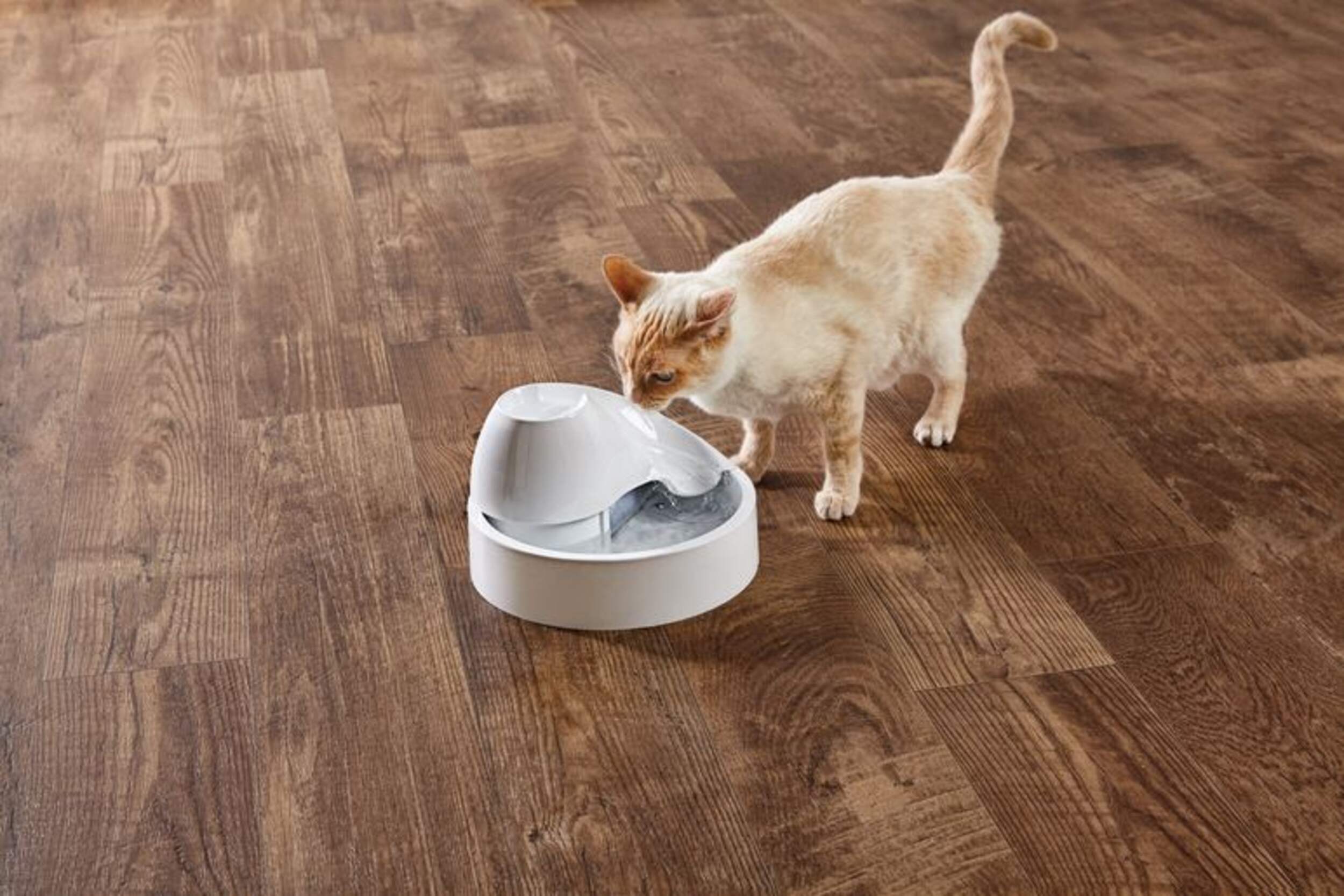 Petco Waterslide Classic Cat Water Fountain, Dishwasher Safe and BPA