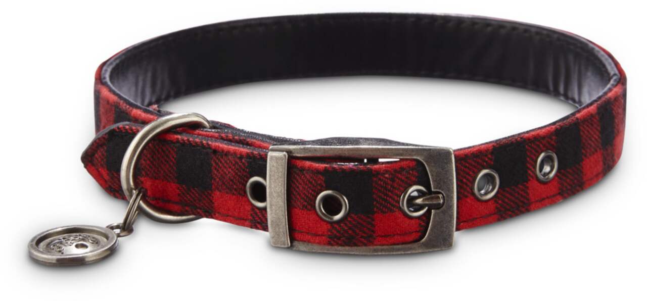 Medium dog collar deals