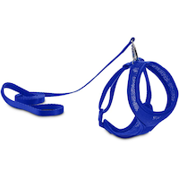 Petco Blue Mesh Cat Harness and Leash Set, Adjustable For Cat Walking, 4-ft