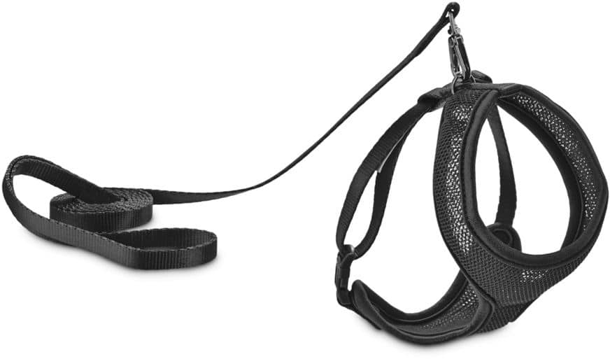 Petco seat belt outlet harness