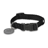 Petco Black Nylon Dog Collar, Adjustable, Includes Tag Muffer, Small Front_Elevated