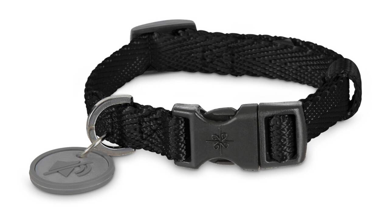 Petco hot sale leather collar