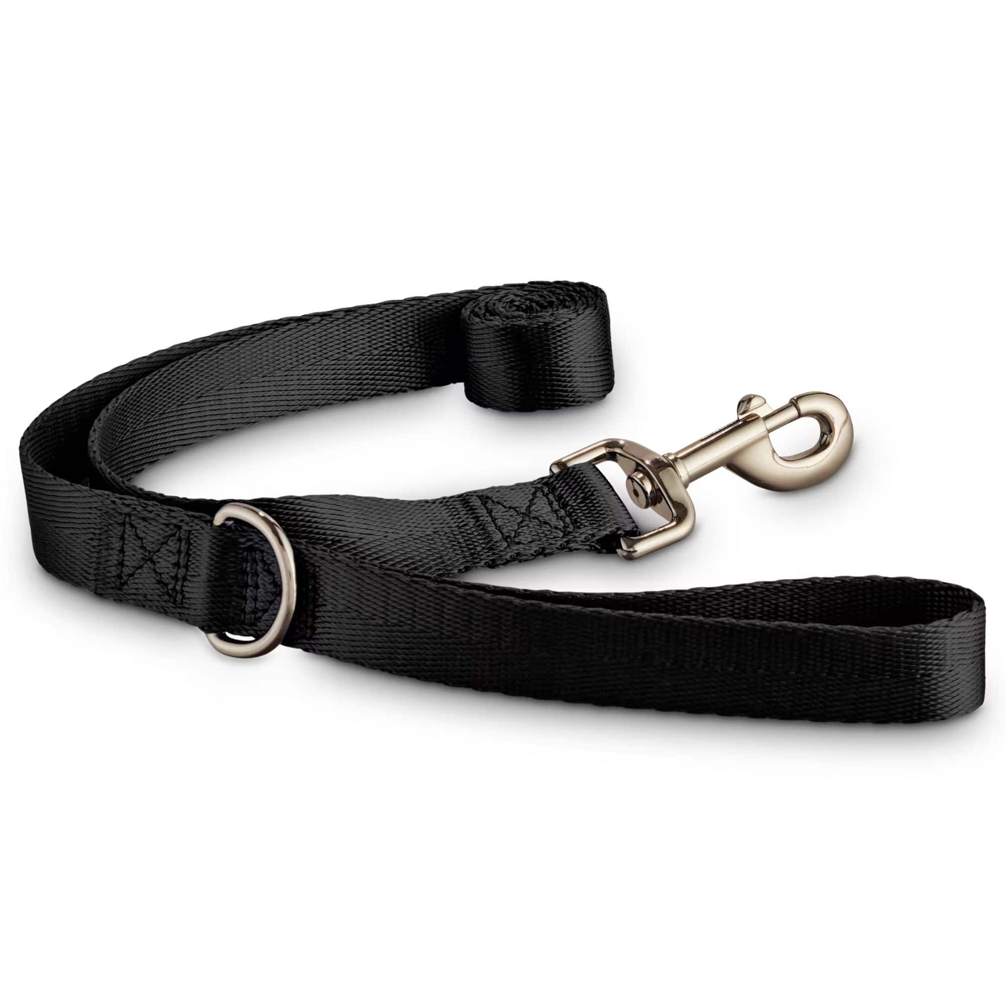 Petco 2024 leather leash