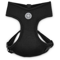 Petco Black Mesh Step-In Dog Harness Vest, Adjustable Straps, Small Overhead_Flat