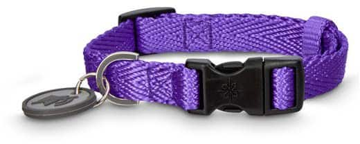 Petco Adjustable Nylon Dog Collar Purple Medium Canadian Tire