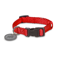 Collier en nylon pour chiens Petco, réglable, avec silencieux pour médaille, petit, rouge Front_Elevated