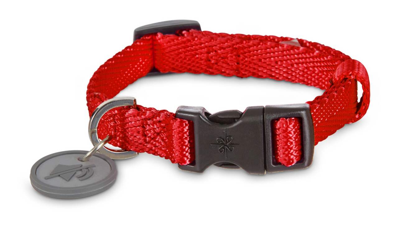 Dog sales collar nylon