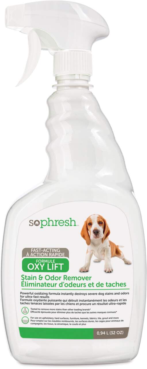 Stain and shop odour remover