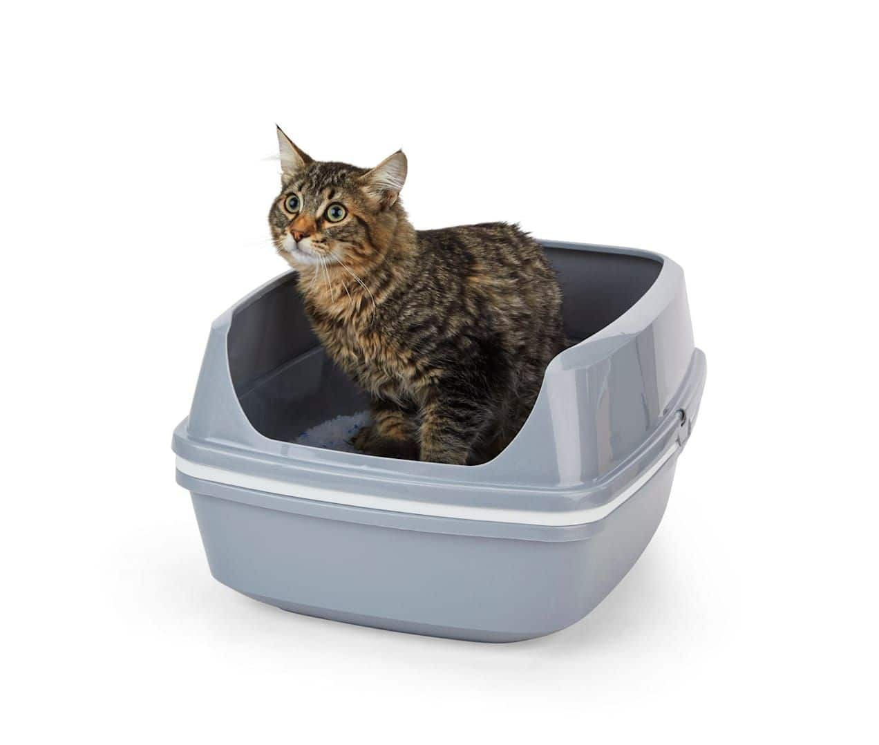 Arm and hammer top sifting cat litter box