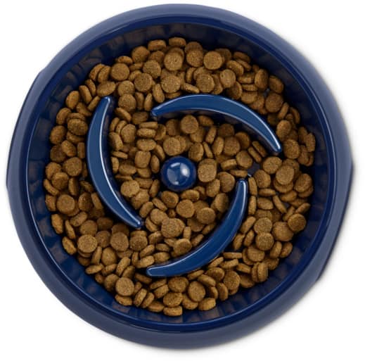 dog food bowl for fast eaters petco