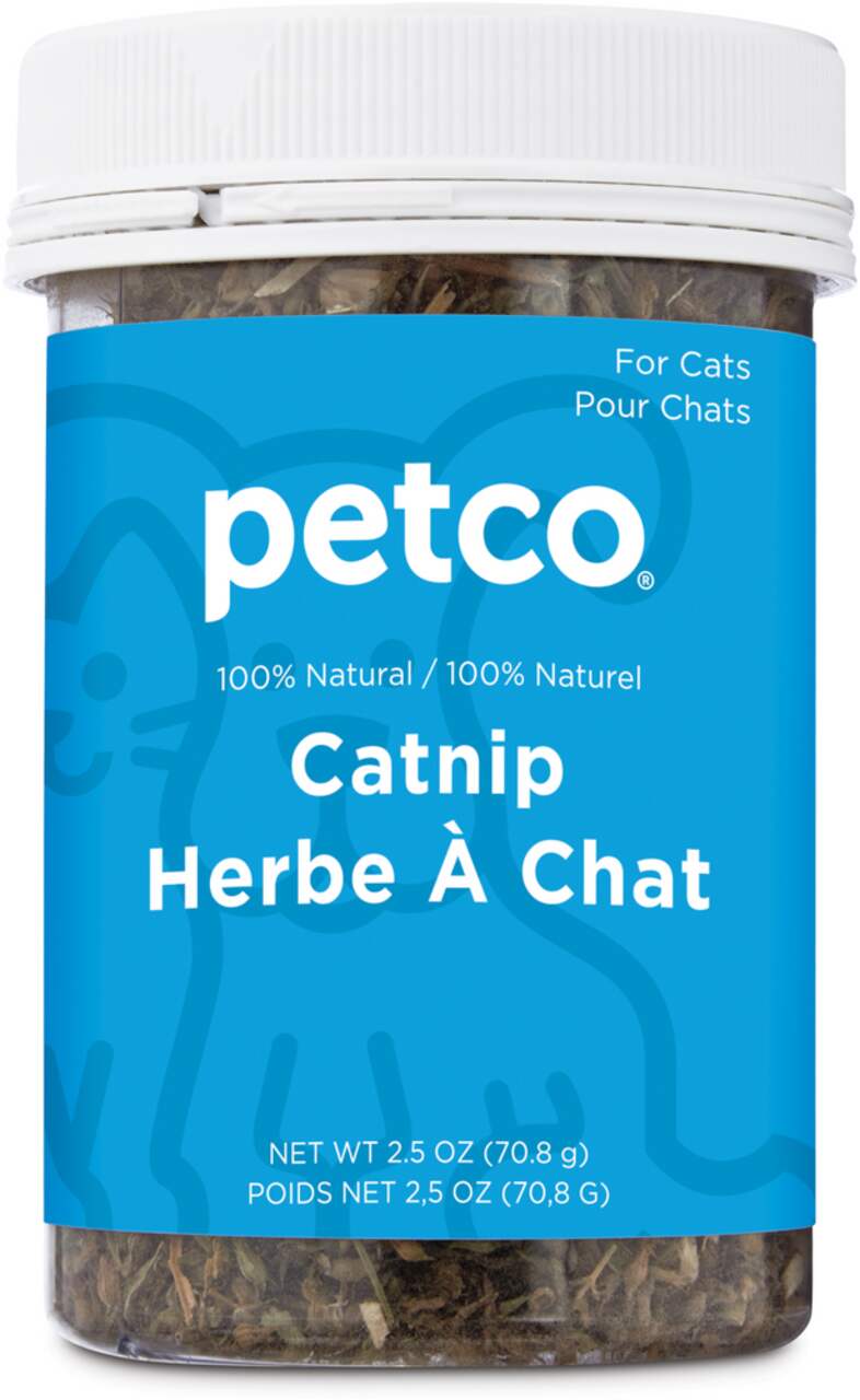 Herbe à chat séchée 100 % naturelle Petco, 2,5 oz