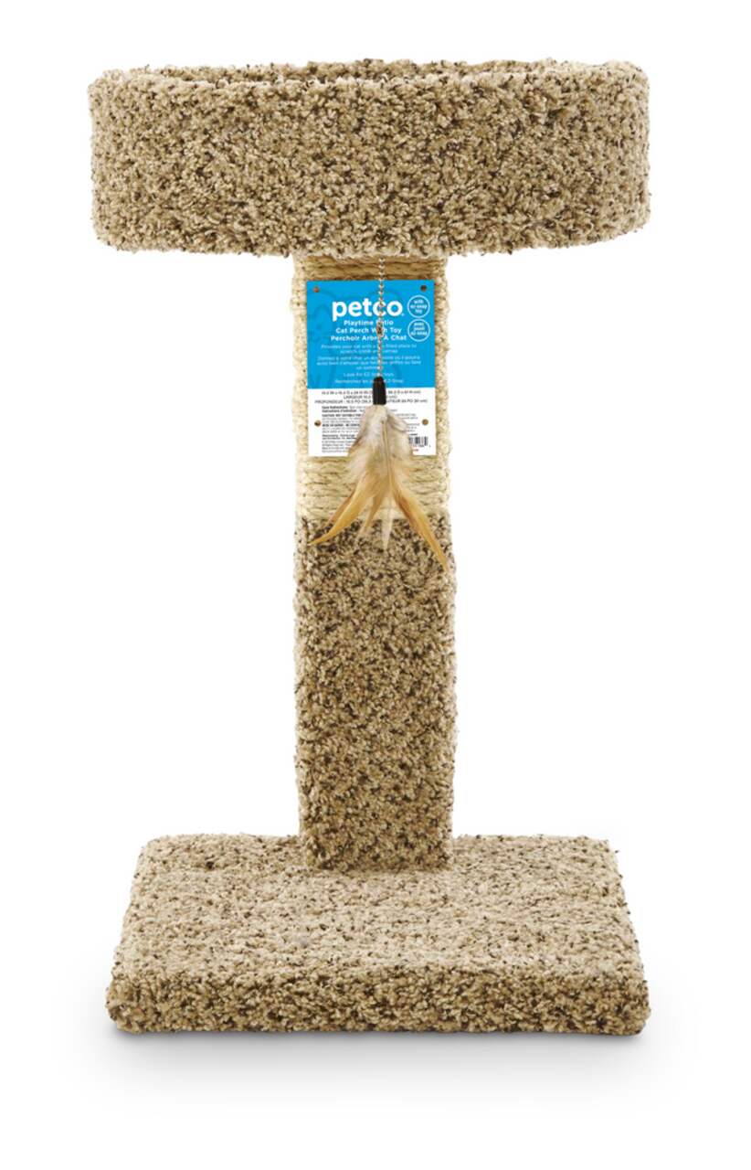 Cat tree petco discount