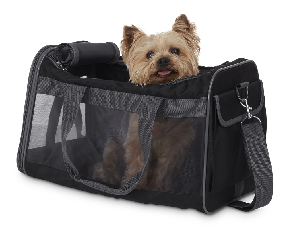 Petco Basic Pet Carrier, Collapsible and Foldable, Black Canadian Tire