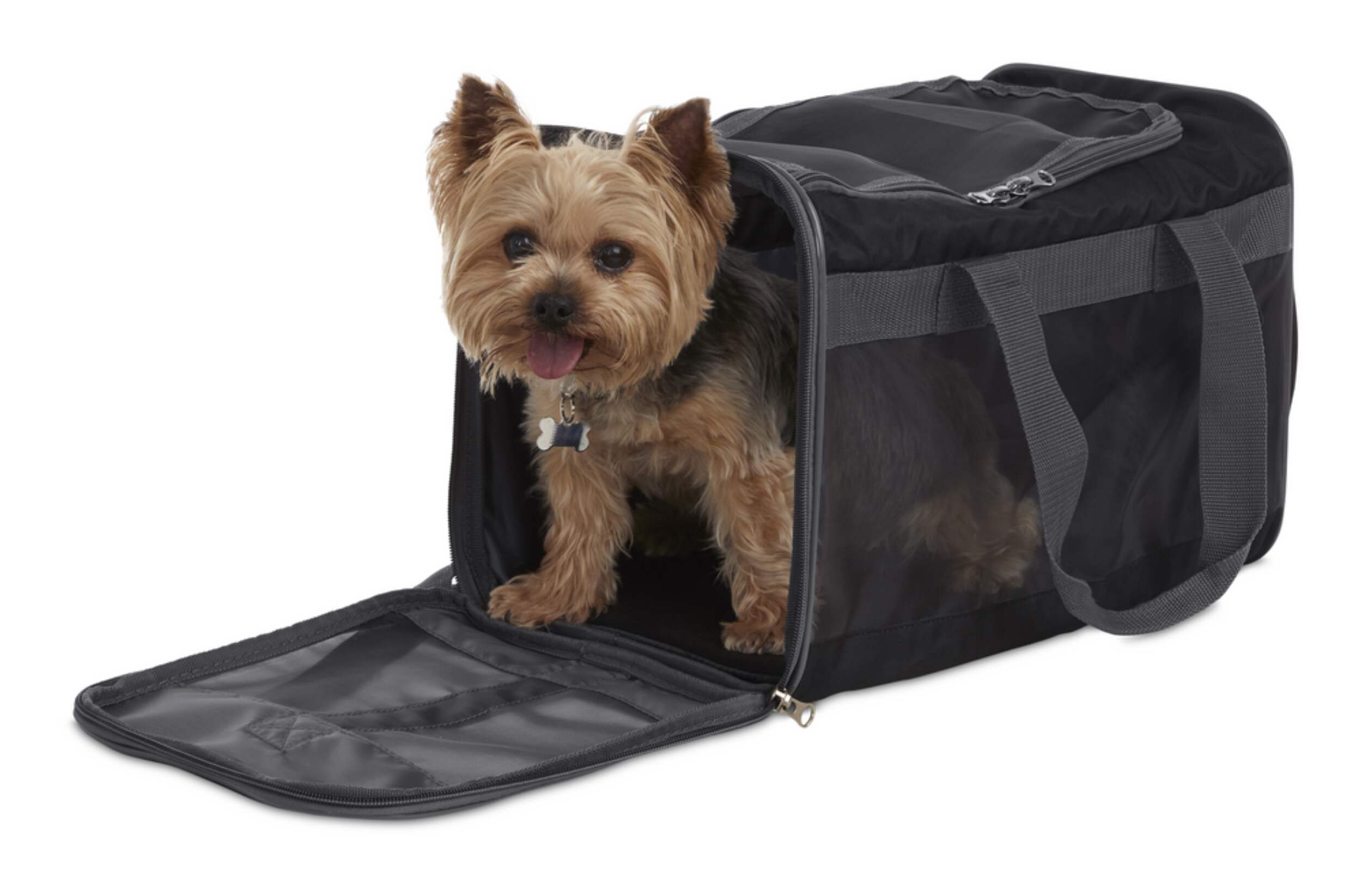 Petco Basic Pet Carrier, Collapsible and Foldable, Black Canadian Tire