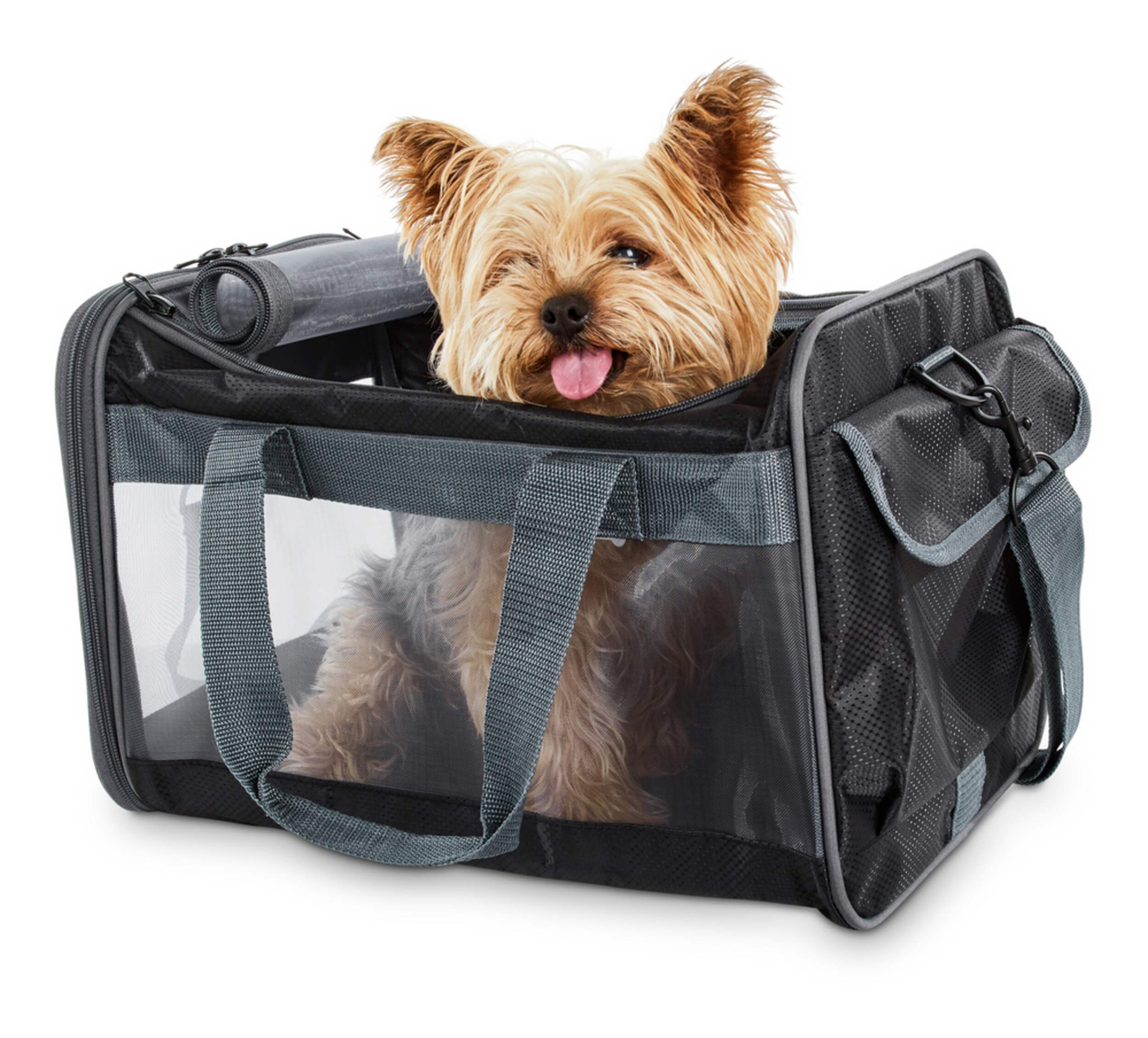 Petco Basic Pet Carrier, Collapsible and Foldable, Black Canadian Tire