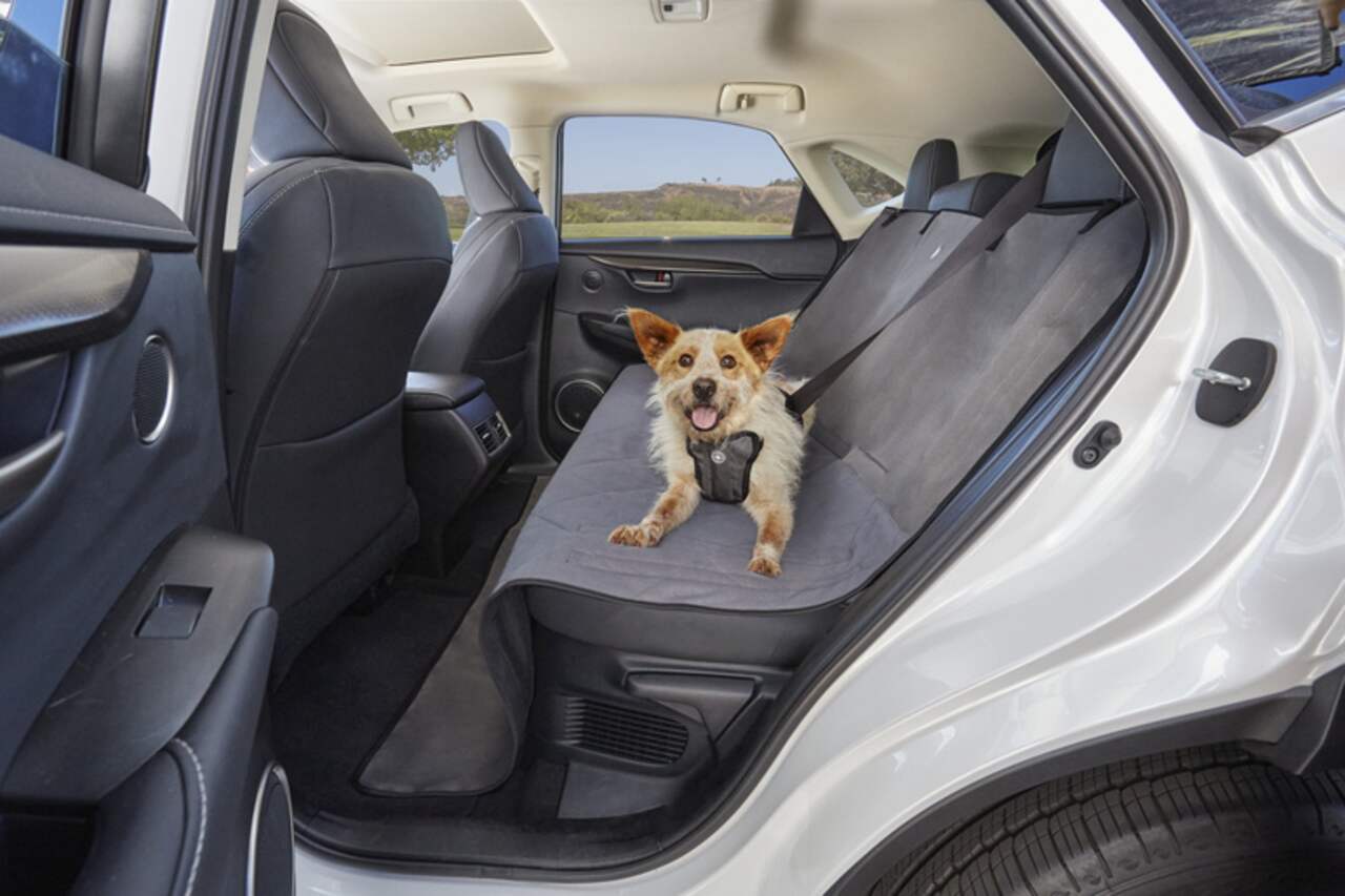 Pet car seat cover canadian sales tire