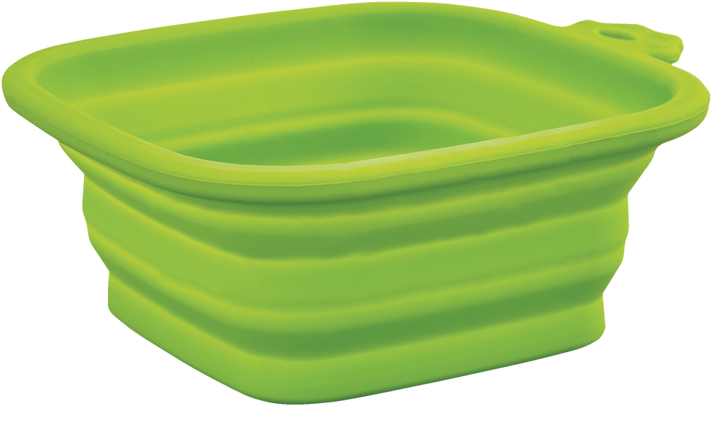 Good2go hotsell collapsible bowl