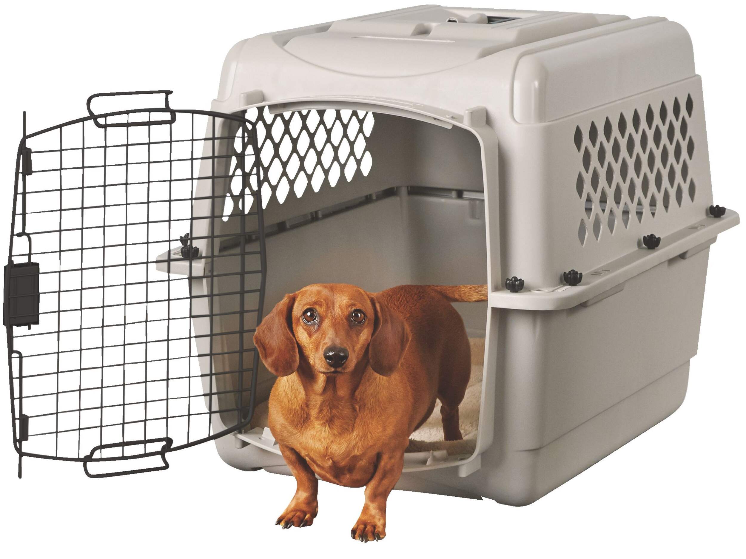Petco Classic Dog/Pet Kennel, Lockable, 28-in Front_Three_Fourths_Angled_Left