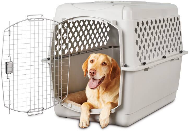 petco kennels for dogs