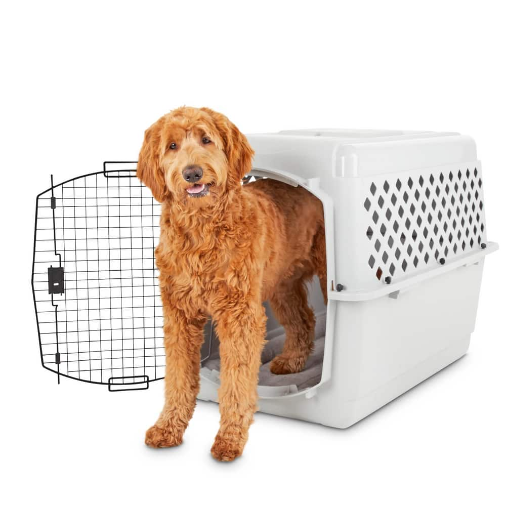 petco small dog cage