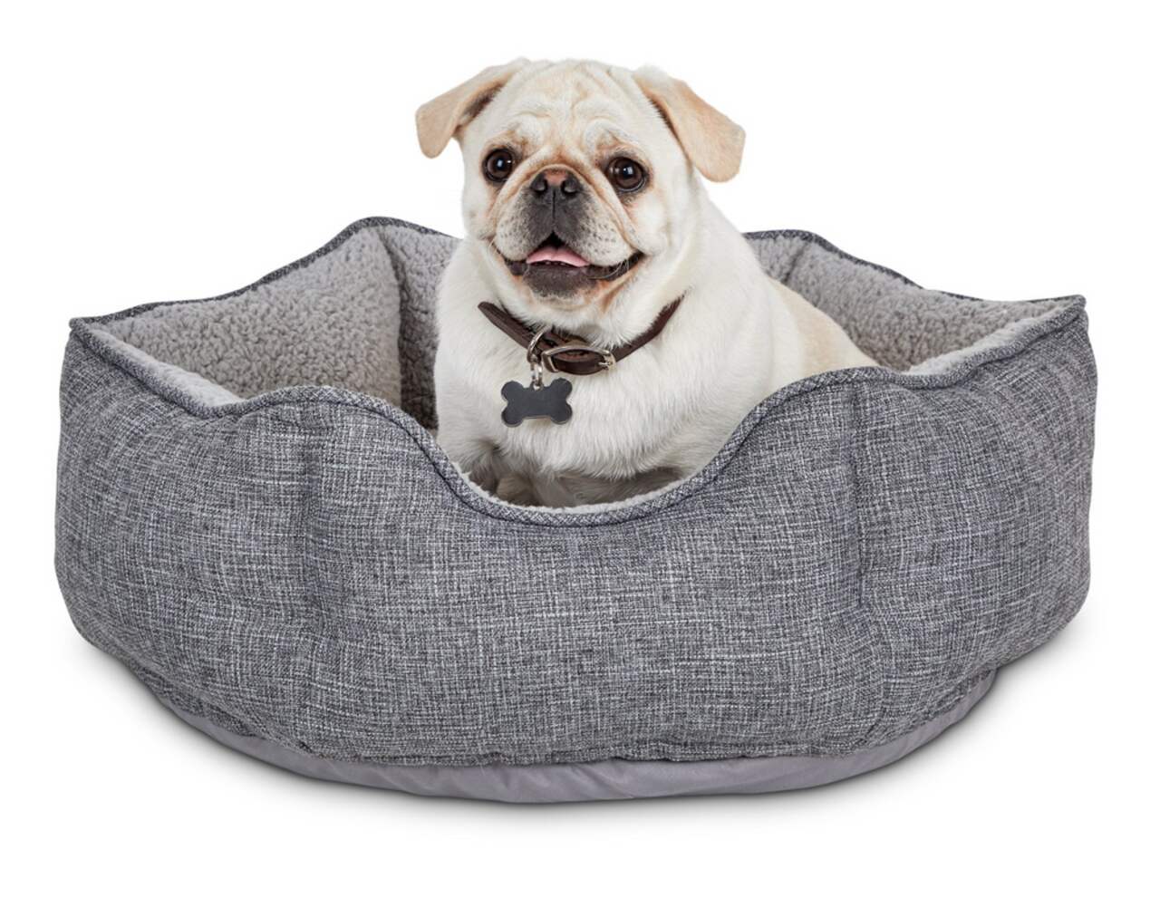 Petco sales dog couch
