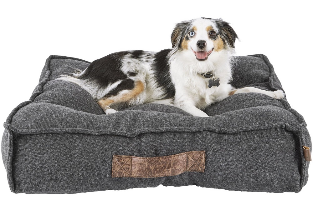 Petco Lounger Memory Foam Dog Bed, Washable, 28in x 28in, Grey