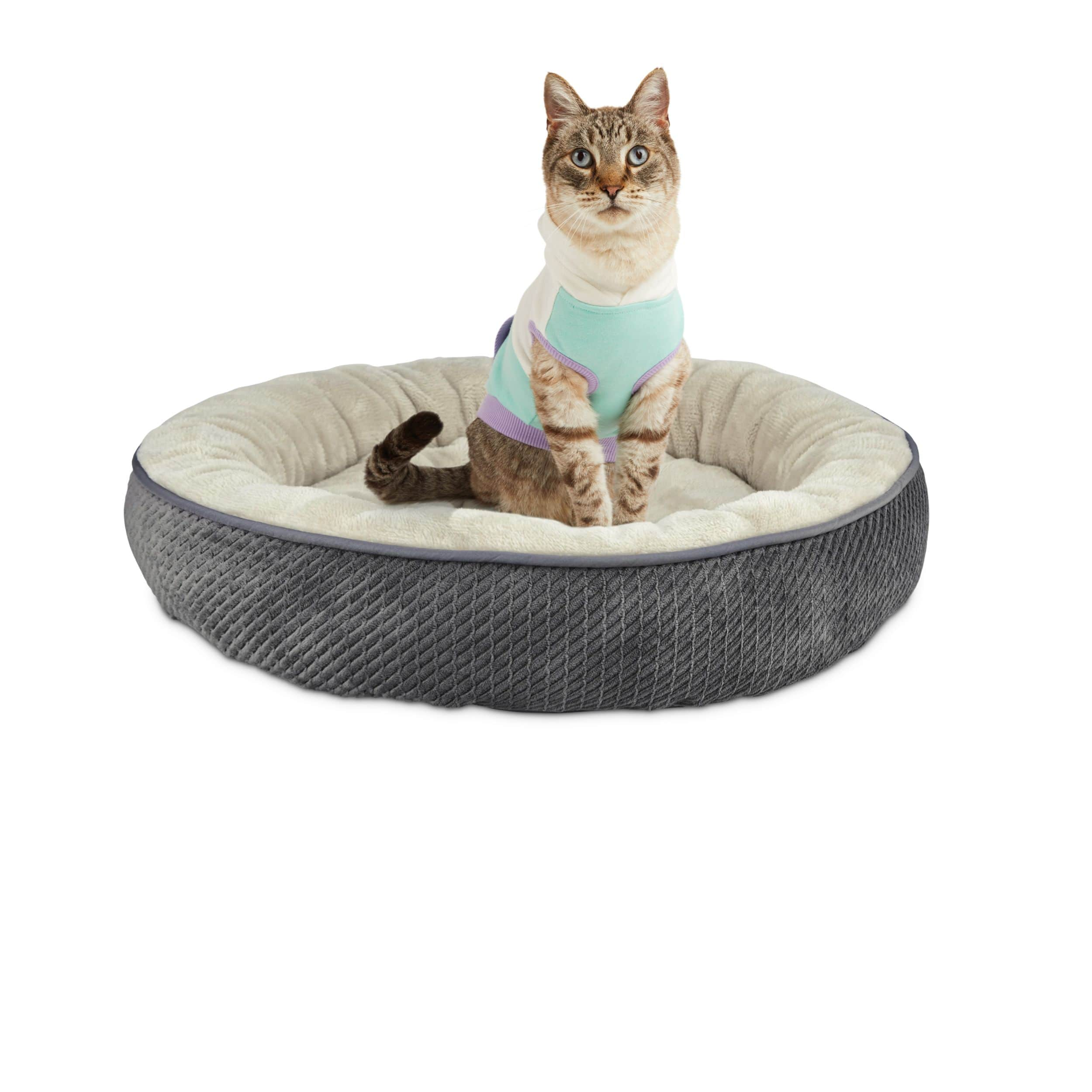 Petco world's best sales cat litter