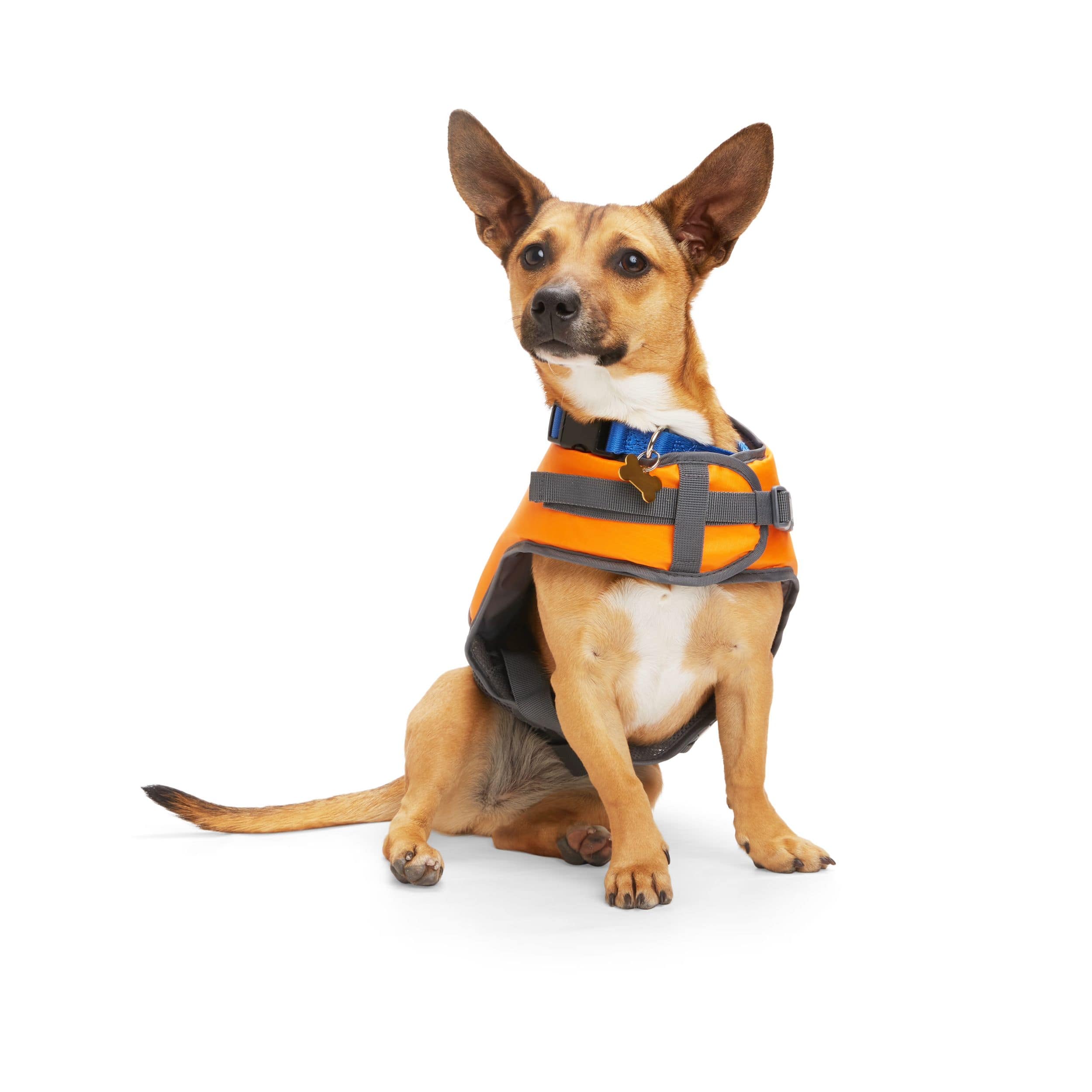 Petco Neon Life Jacket Flotation Vest with Handle for Dogs Orange and Blue Canadian Tire