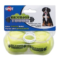 Spot Beyond Tough Tennis Balls, 2.5-in, 2-pk
