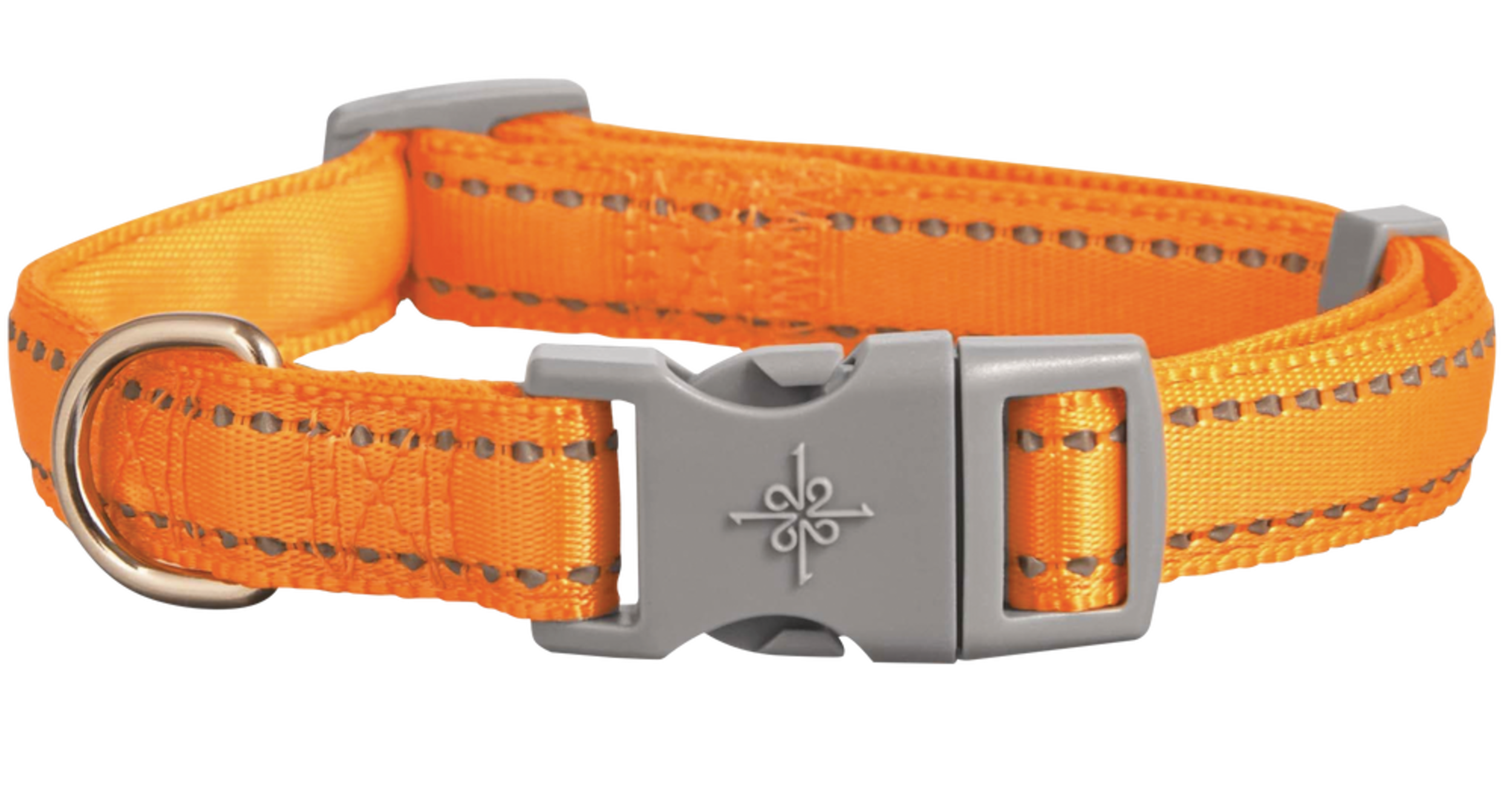 Petco Padded Reflective Dog Collar, Adjustable, Assorted Sizes, Orange