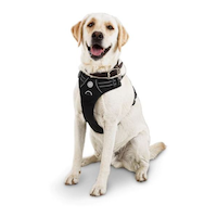 Petco Front Walking Mesh Reflective Adjustable Black Dog Harness Vest, X-Large Front_Angled_Left