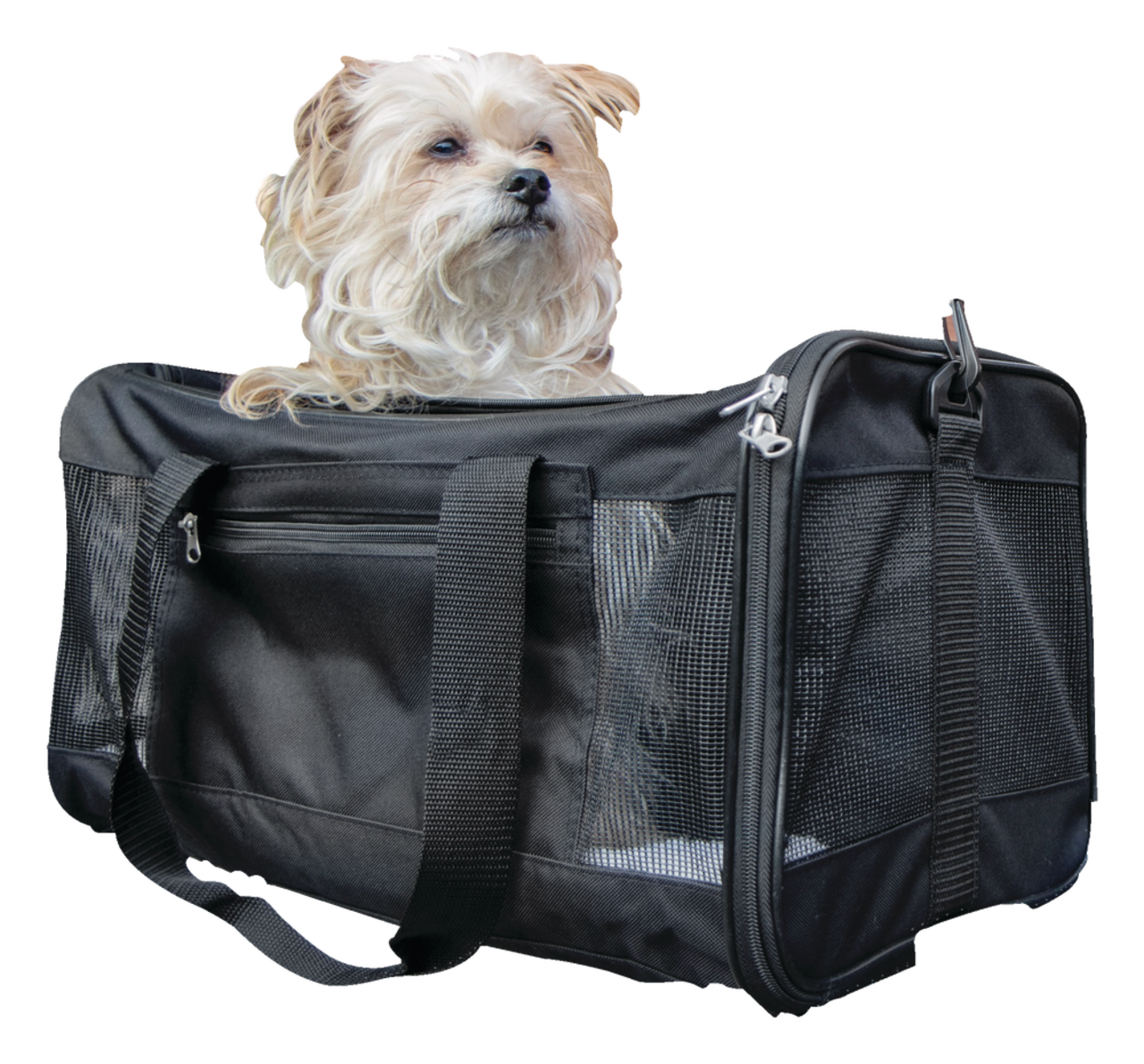 https://media-www.canadiantire.ca/product/living/pet-care/pet-accessories/1426157/trustypup-travel-easy-explorer-airline-approved-carrier-afabf0d0-d0f1-47db-b32d-7614d2d7b3b2.png?imdensity=1&imwidth=1244&impolicy=mZoom