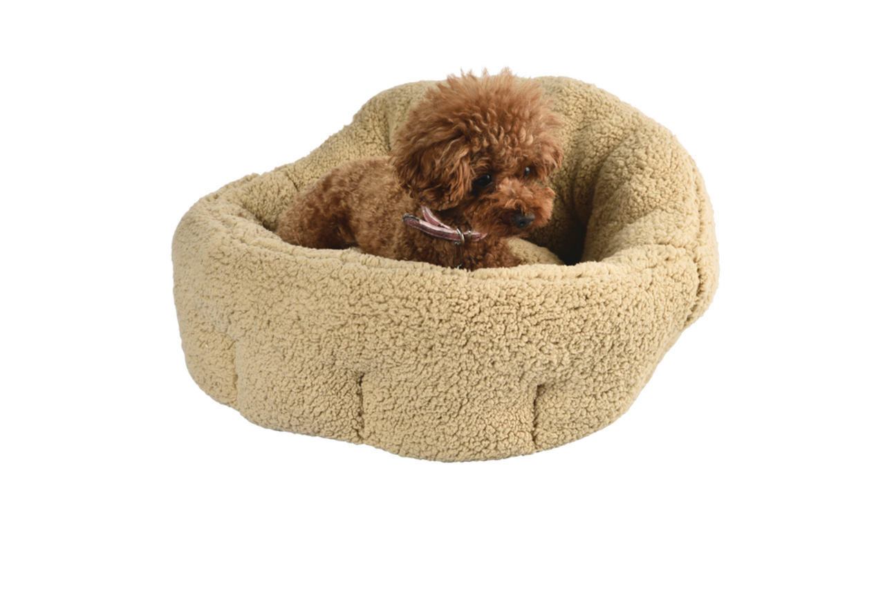 Canadian tire cat bed top