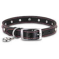Petco Leather Jewel Dog Collar, Adjustable, Assorted Sizes, Black/Pink Front_Elevated