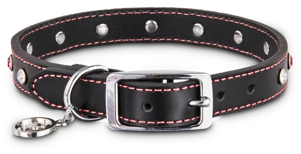 Petco Leather Jewel Dog Collar, Adjustable, Assorted Sizes, Black/Pink