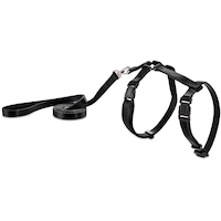 Petco Black Kitten Adjustable Harness and Leash Set, 4-ft