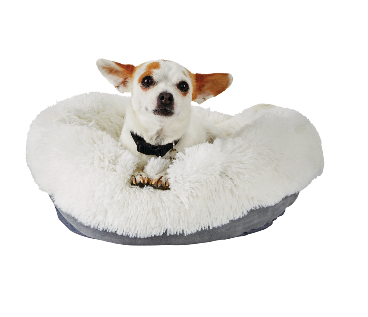 Calming dog treats petco on sale