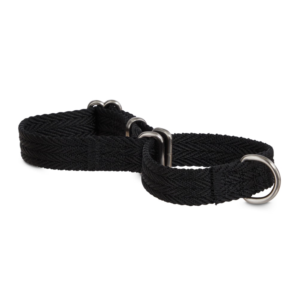 Petco Nylon Martingale Dog Collar, Adjustable, Assorted Sizes, Black