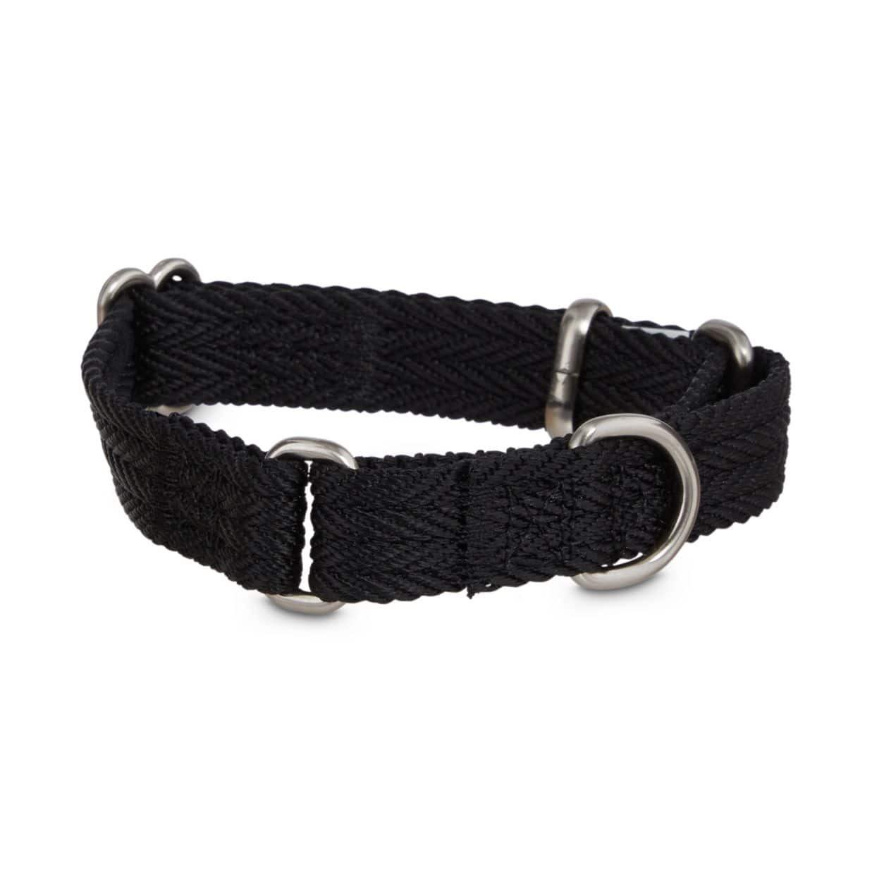 Martingale dog hot sale collar petco